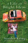 A Life of Bright Ideas book cover